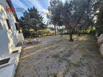 6ff9288c-7fbd-4675-bc62-e69340c38941