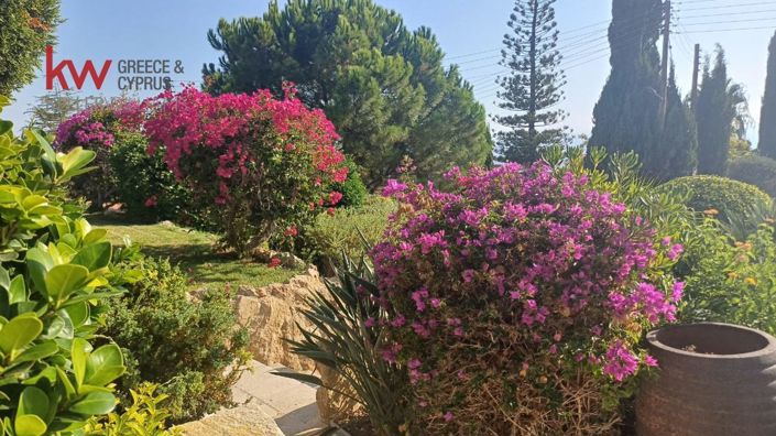 Image No.21-4 Bed House for sale