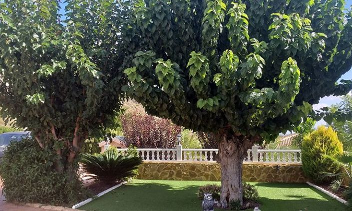 Image No.36-5 Bed Villa for sale