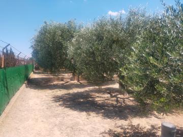 Image No.18-3 Bed Country House for sale