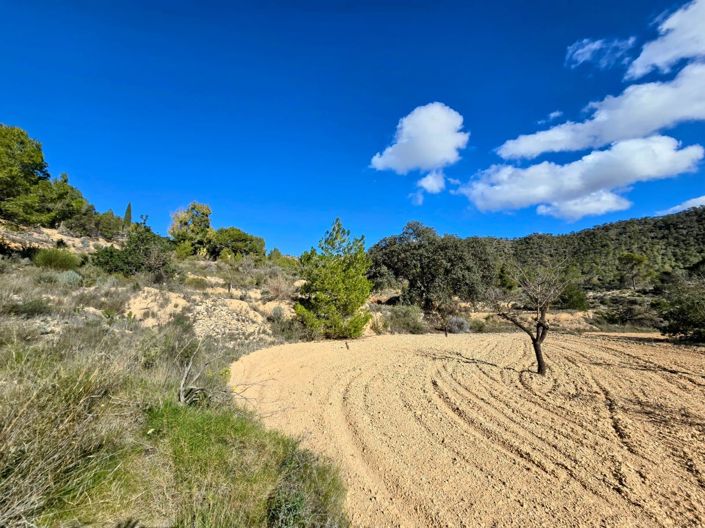 Image No.2-Plot for sale