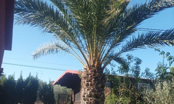 Image No.7-4 Bed Country House for sale