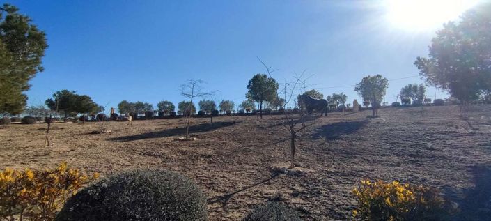 Image No.24-3 Bed Country House for sale