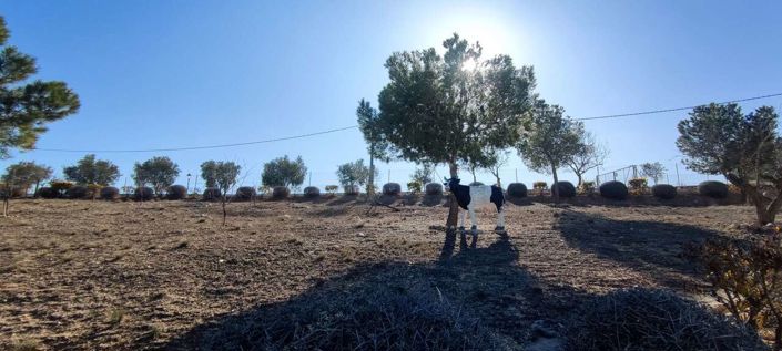 Image No.27-3 Bed Country House for sale