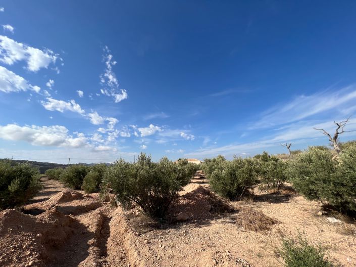 Image No.12-3 Bed Country House for sale