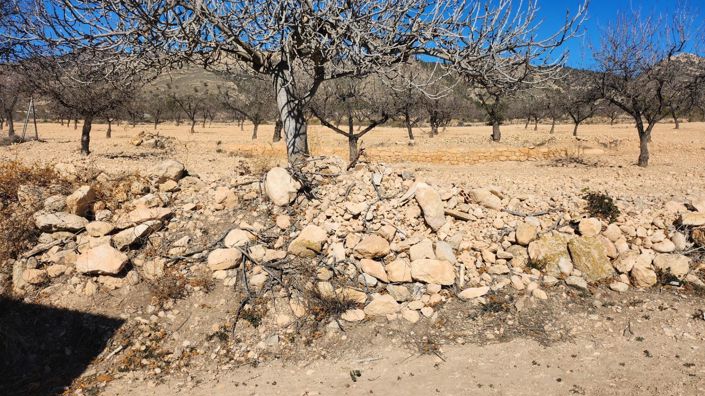 Image No.5-Country House for sale