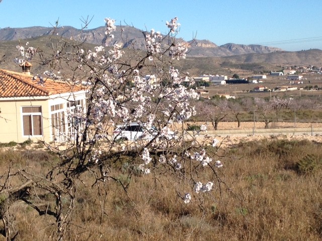 Image No.5-Plot for sale