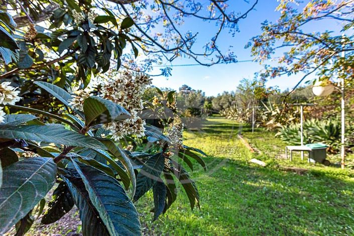 Image No.21-2 Bed Villa for sale