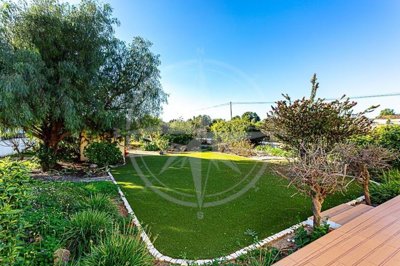 1987-359331-0086b5b4f2b294297643049c268e89554