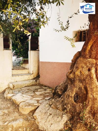 Image No.36-4 Bed House for sale