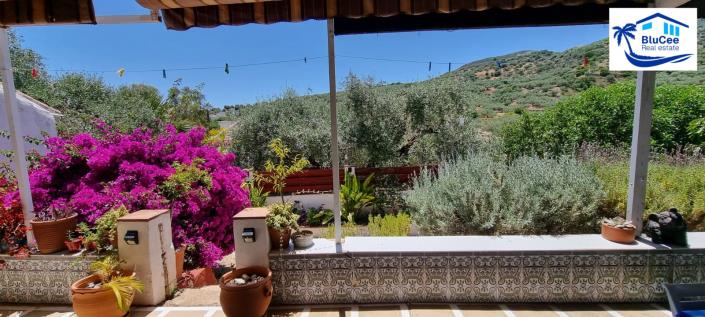 Image No.38-4 Bed House for sale