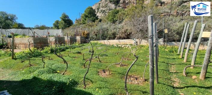 Image No.57-3 Bed Villa for sale