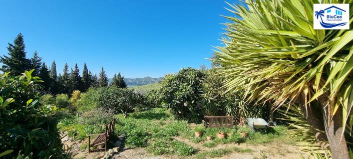 Image No.42-3 Bed House/Villa for sale