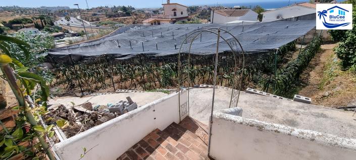 Image No.49-4 Bed Finca for sale