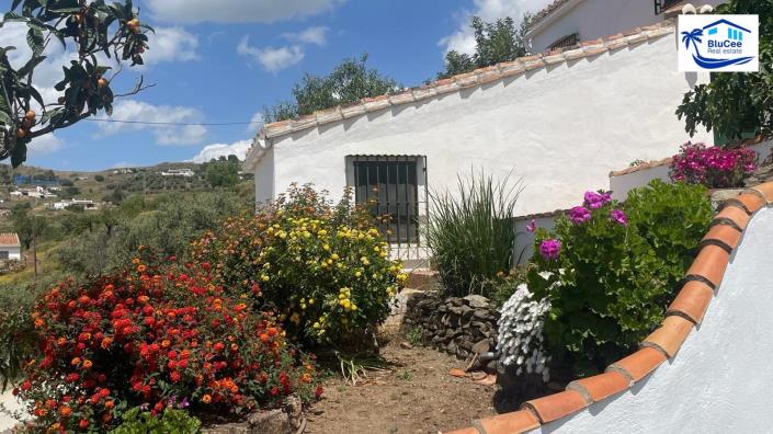 Image No.6-3 Bed Country House for sale