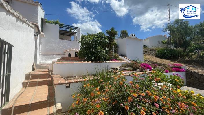 Image No.4-3 Bed Country House for sale