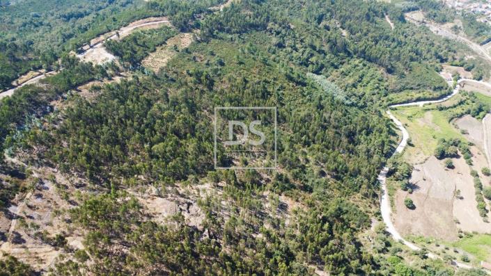 Image No.5-Land for sale