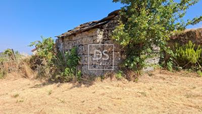 3_73e2272a-4a21-4992-921e-f8facc259788