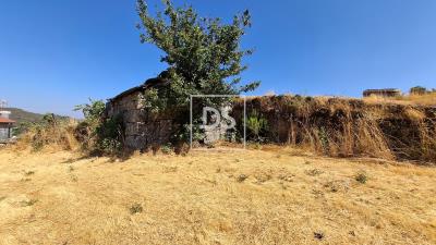 9_b09f8365-e046-4992-8bbc-eb6e84e76a07