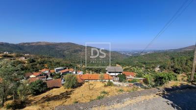 13_69c9491e-e33f-4632-99ad-4a16f12695dc