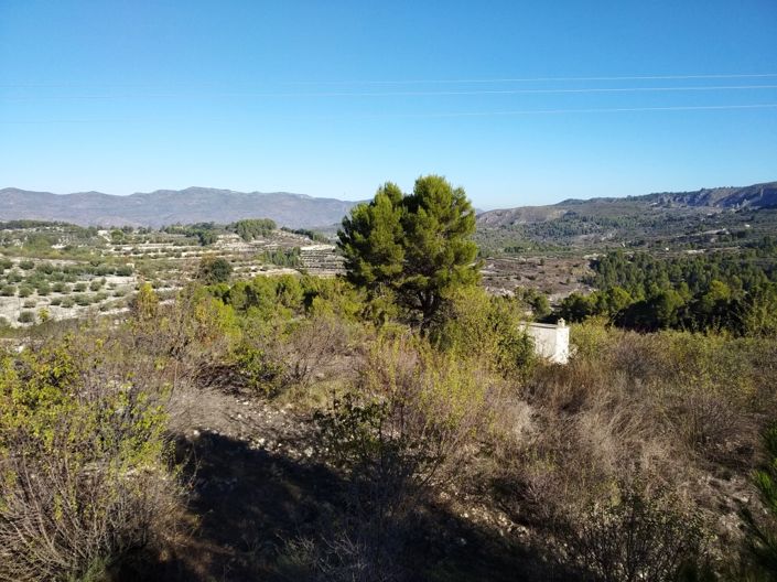 Image No.2-Property for sale