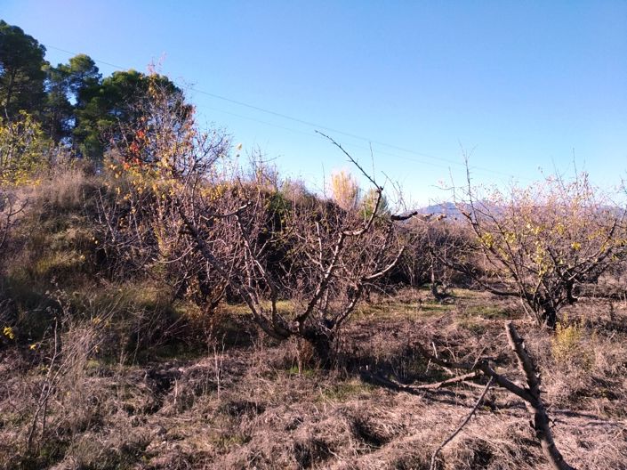 Image No.5-Property for sale