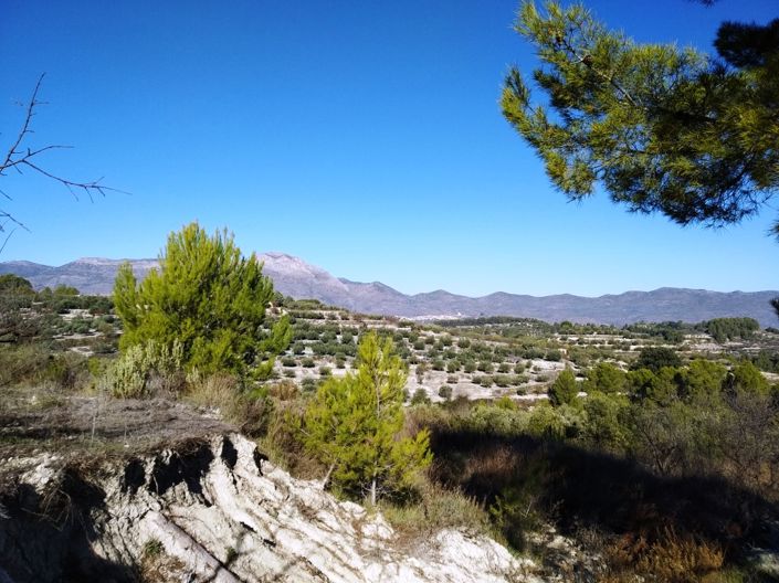 Image No.6-Property for sale