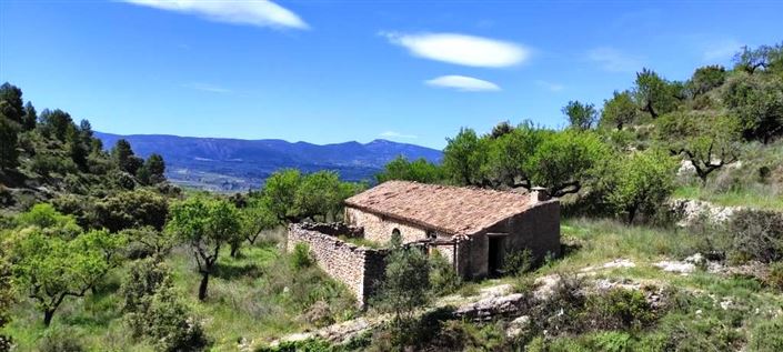 Image No.2-Finca for sale