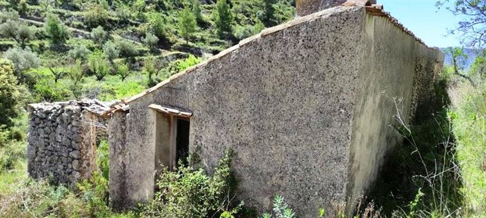 Image No.6-Finca for sale