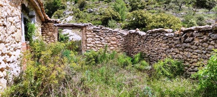 Image No.9-Finca for sale