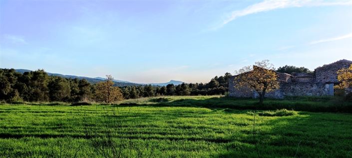 Image No.2-Finca for sale