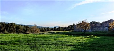 o1f5bo14p5o4t2ht164hhgj1ee73j