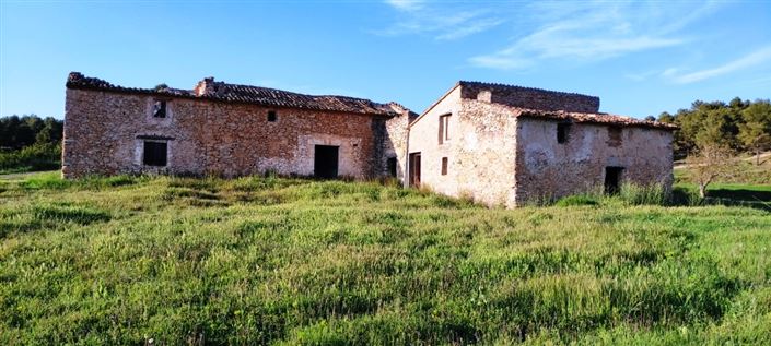 Image No.4-Finca for sale