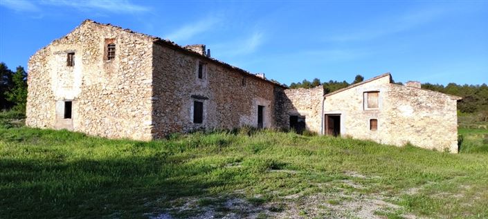 Image No.5-Finca for sale