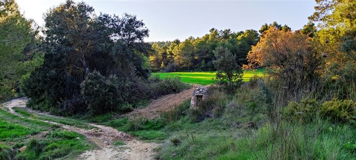 Image No.6-Finca for sale