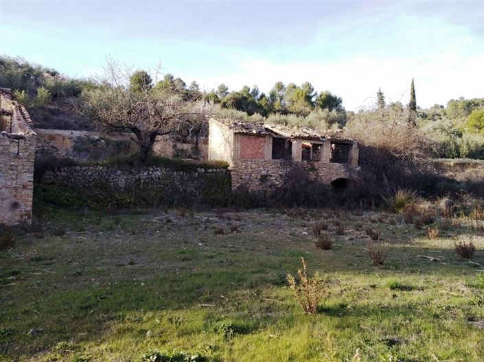 Image No.5-Finca for sale