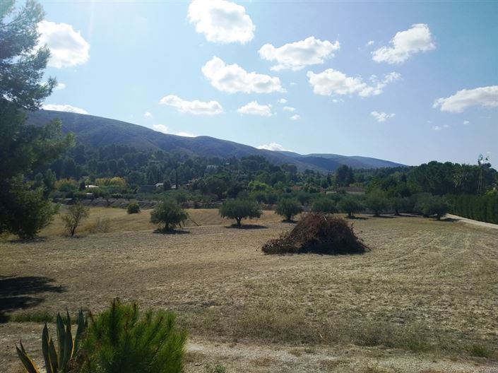 Image No.5-Finca for sale