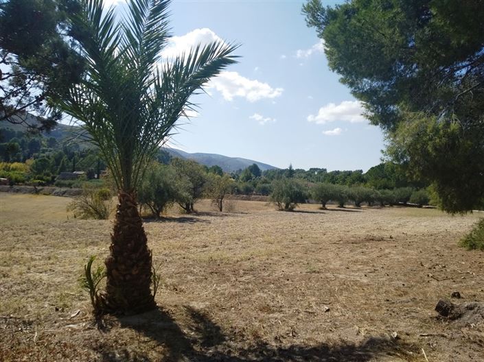 Image No.8-Finca for sale