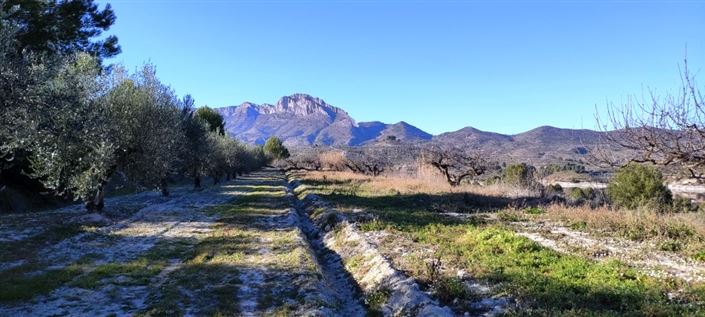 Image No.7-Property for sale