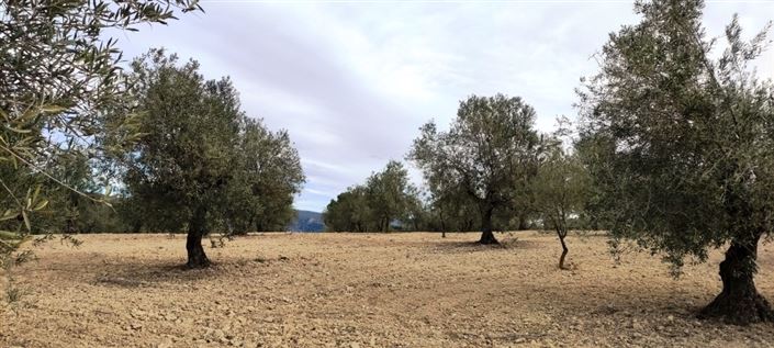 Image No.2-Property for sale