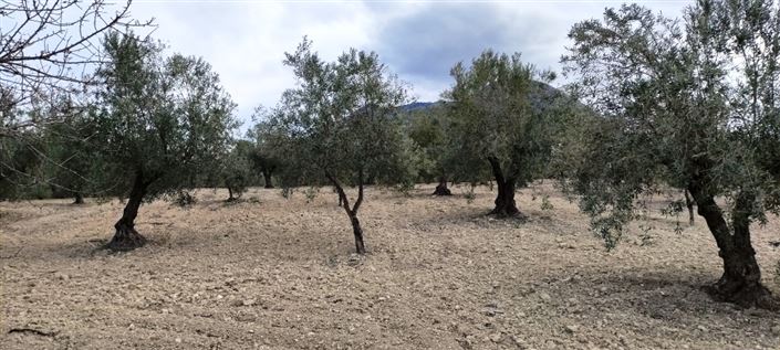 Image No.10-Property for sale