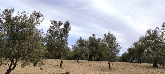 Image No.3-Property for sale