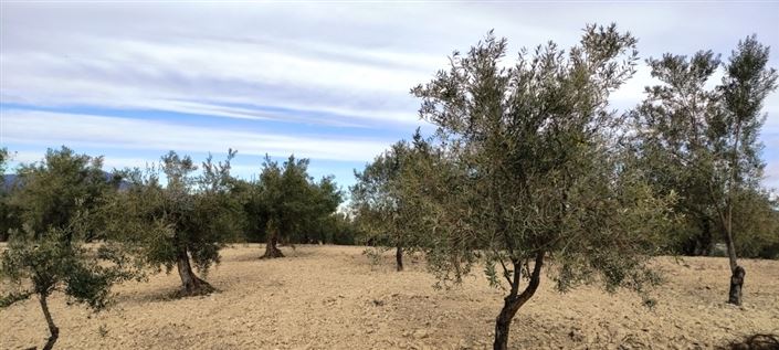 Image No.4-Property for sale