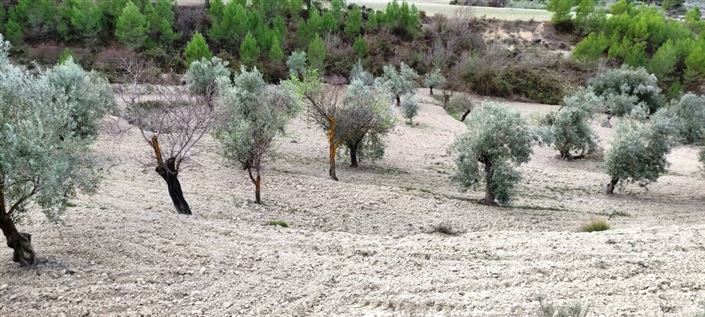 Image No.5-Property for sale