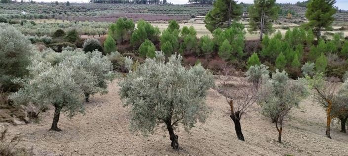 Image No.6-Property for sale