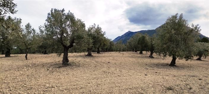 Image No.7-Property for sale