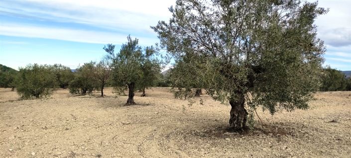 Image No.8-Property for sale