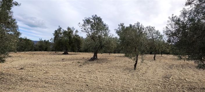 Image No.9-Property for sale