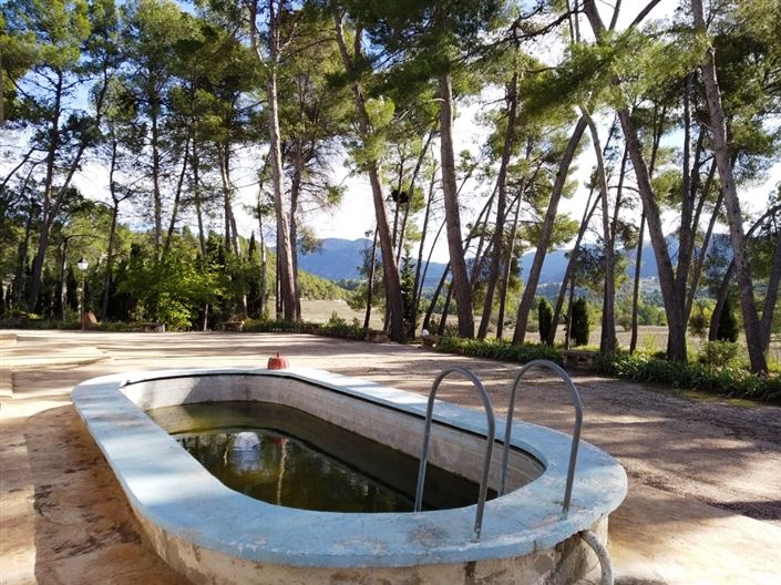 Image No.3-12 Bed Finca for sale