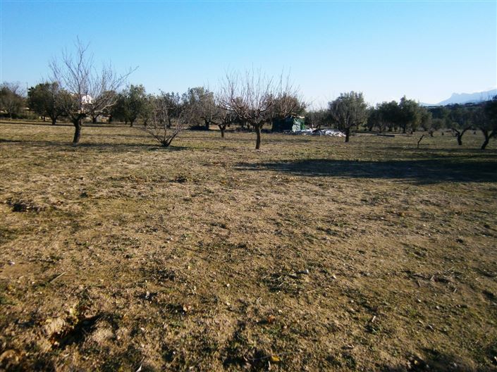 Image No.4-Property for sale